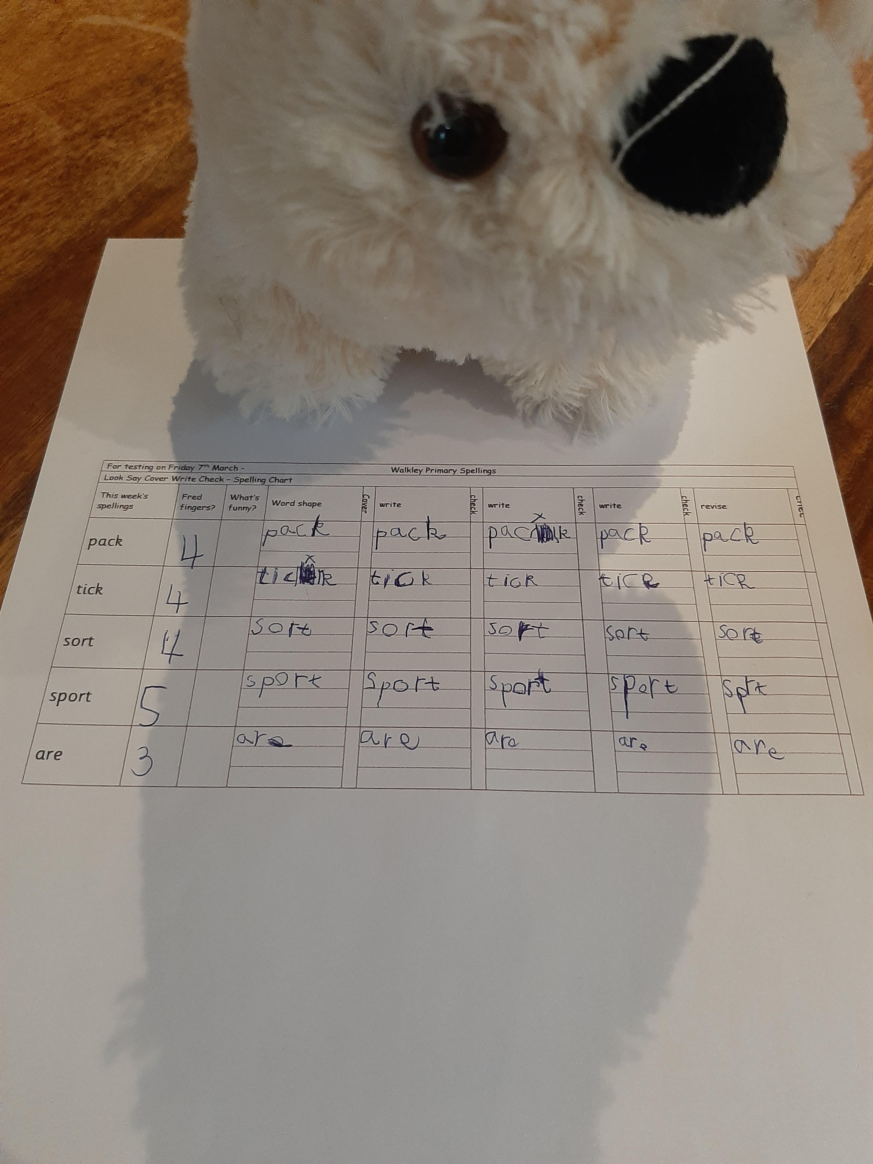 Great handwriting with your spellings and I like your teddy helping!